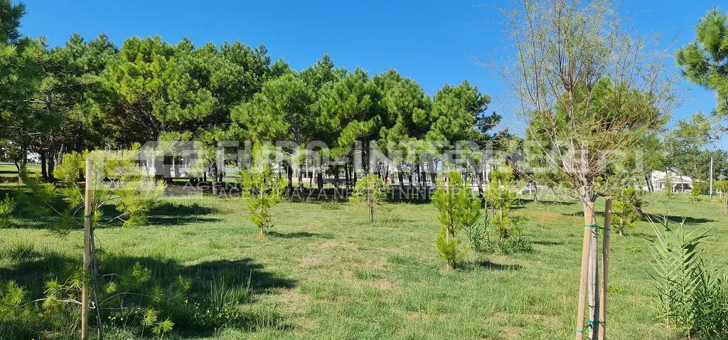 građevinsko zemljište sabunike, neposredno uz more pov. 1.091 m² - slika 9