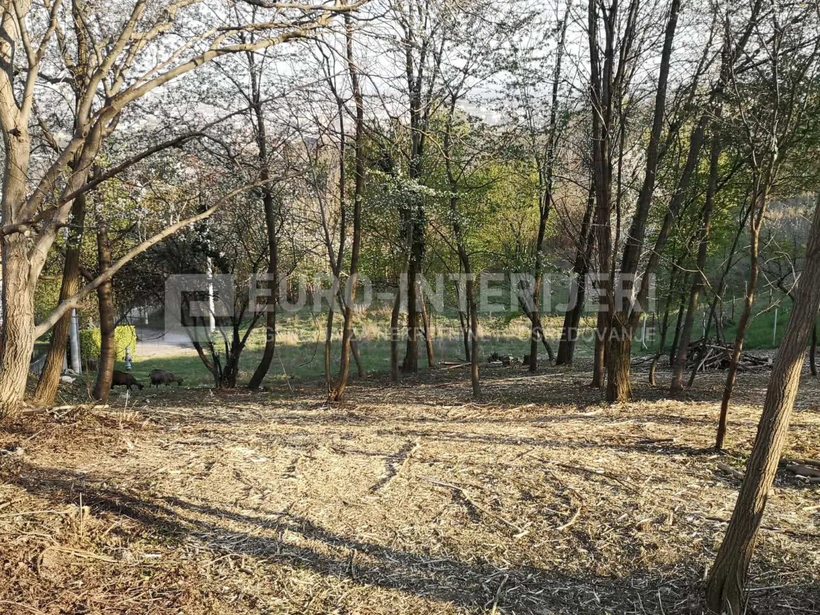 građevinsko zemljište, zagreb, bizek u pov. 1.000 m2, bez provizije - slika 5