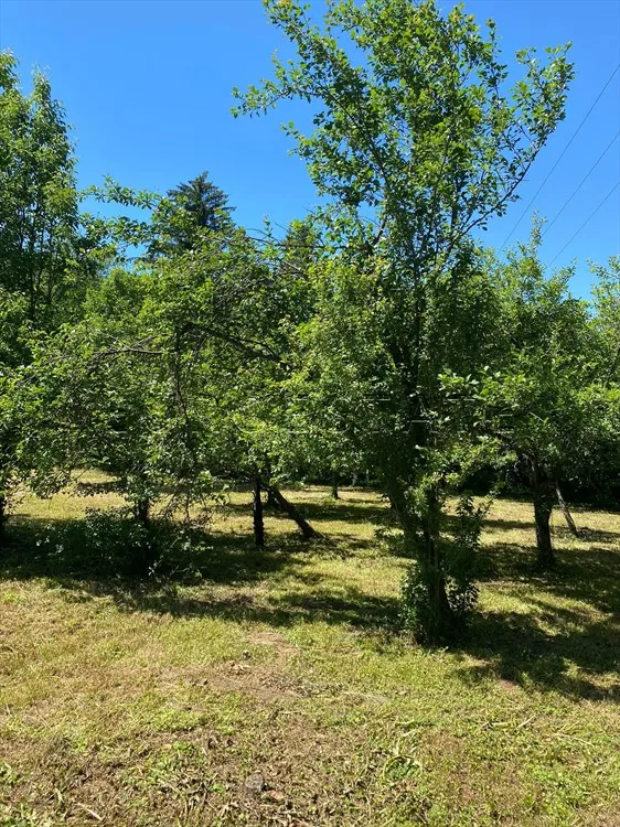 lepoglava: poslovna hala, višenamjenski poslovni prostor 421 m2 - slika 20