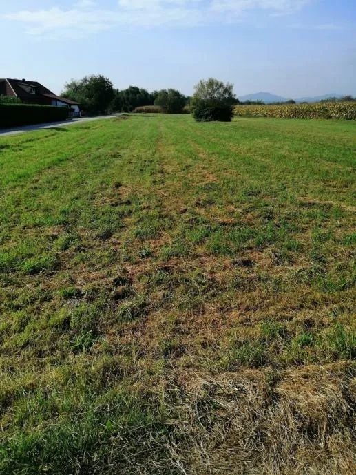 gornji kućan: građevinsko zemljište, 2800 m2 - slika 3