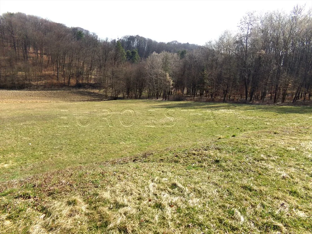 mali mihaljevec: imanje od impozantnih 23630 m2 za turističko ugostiteljsku namjenu - slika 22