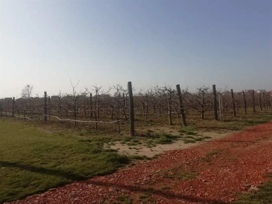 gornji kneginec: poljoprivredno zemljište, građevinska zona površine 6738 m2 - slika 5