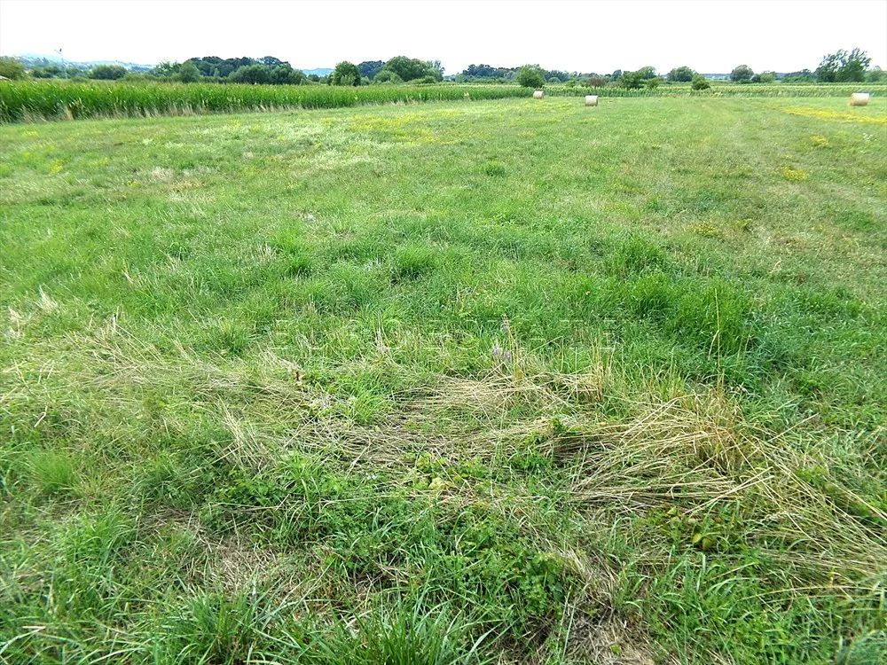 turčin: građevinsko zemljište površine 2434 m2 - slika 4