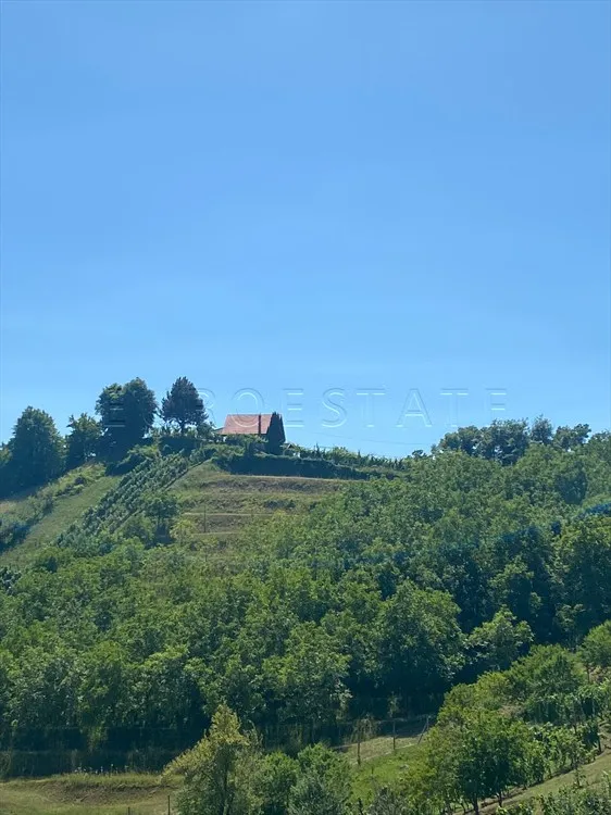 vinica breg: zemljište s idiličnim pogledom i terasama na prodaju, 6495 m2 - slika 3