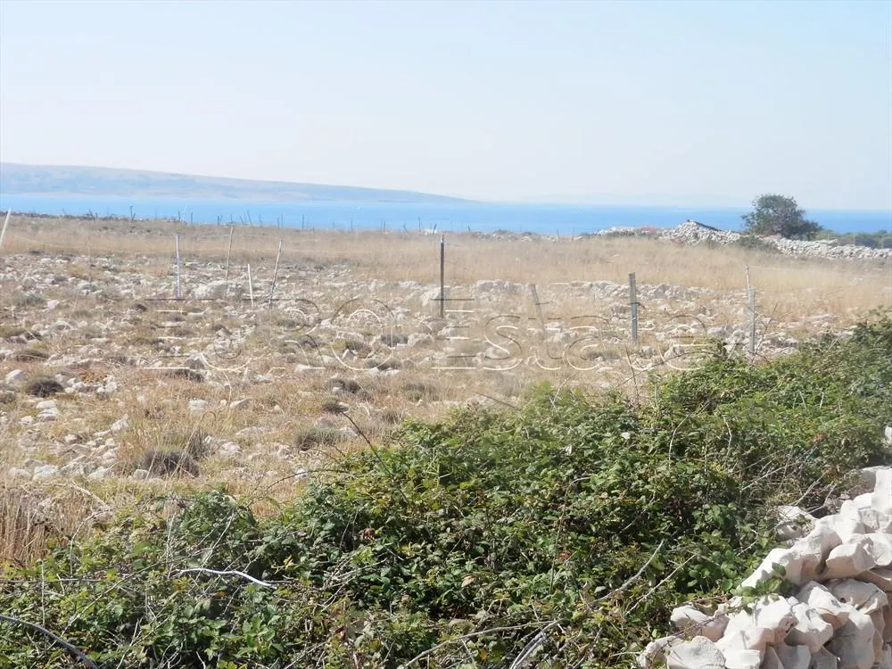 povljana: zemljište površine 19560 m2, 700 metara od mora - slika 2