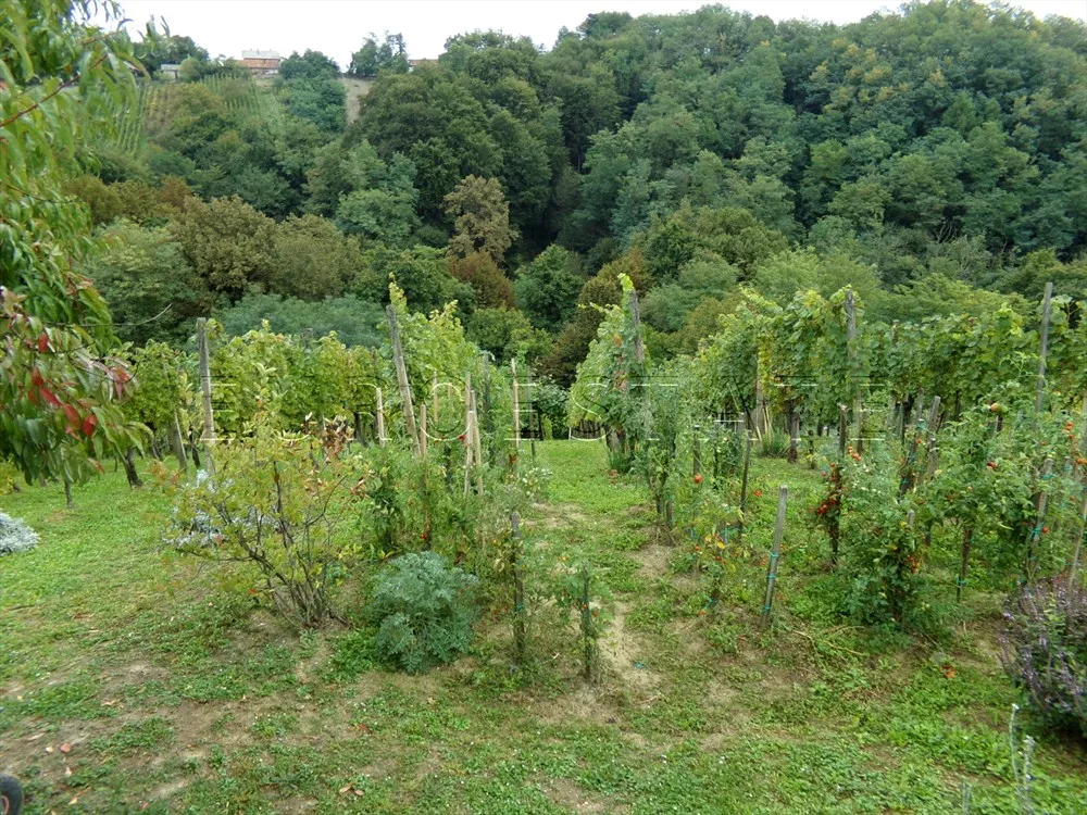 natkrižovljan: temeljito renovirana kuća površine 145 m2 - slika 14