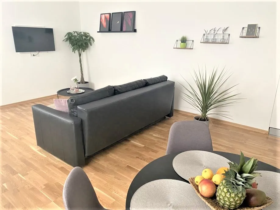 novo: penthouse (2 stana) od 234 m2 u urbanoj vili u varaždinu - slika 17