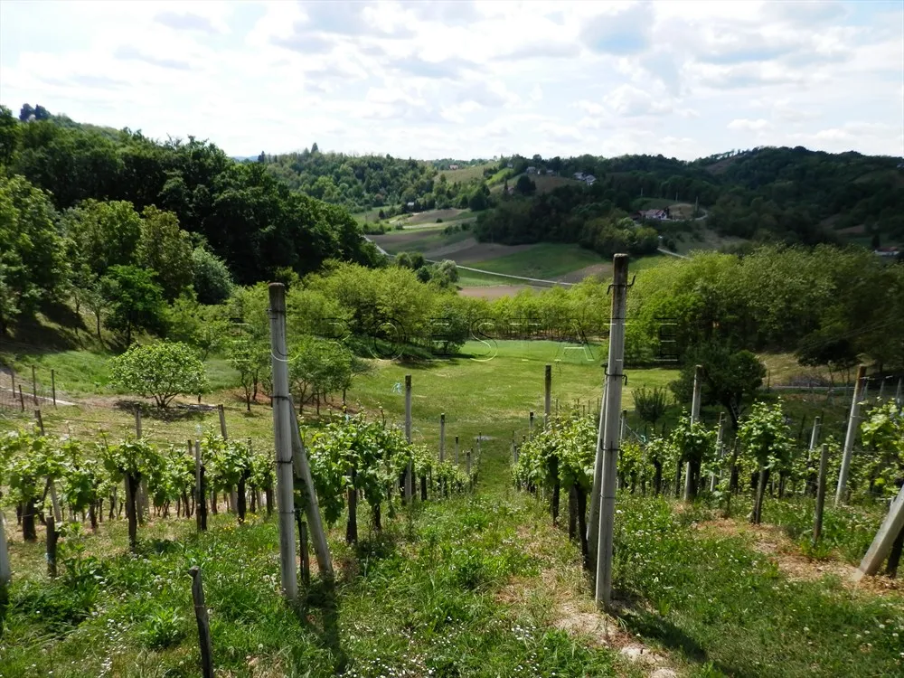 malo gradišće: kuća sveukupne površine 100 m2, za stanovanje ili odmor - slika 11