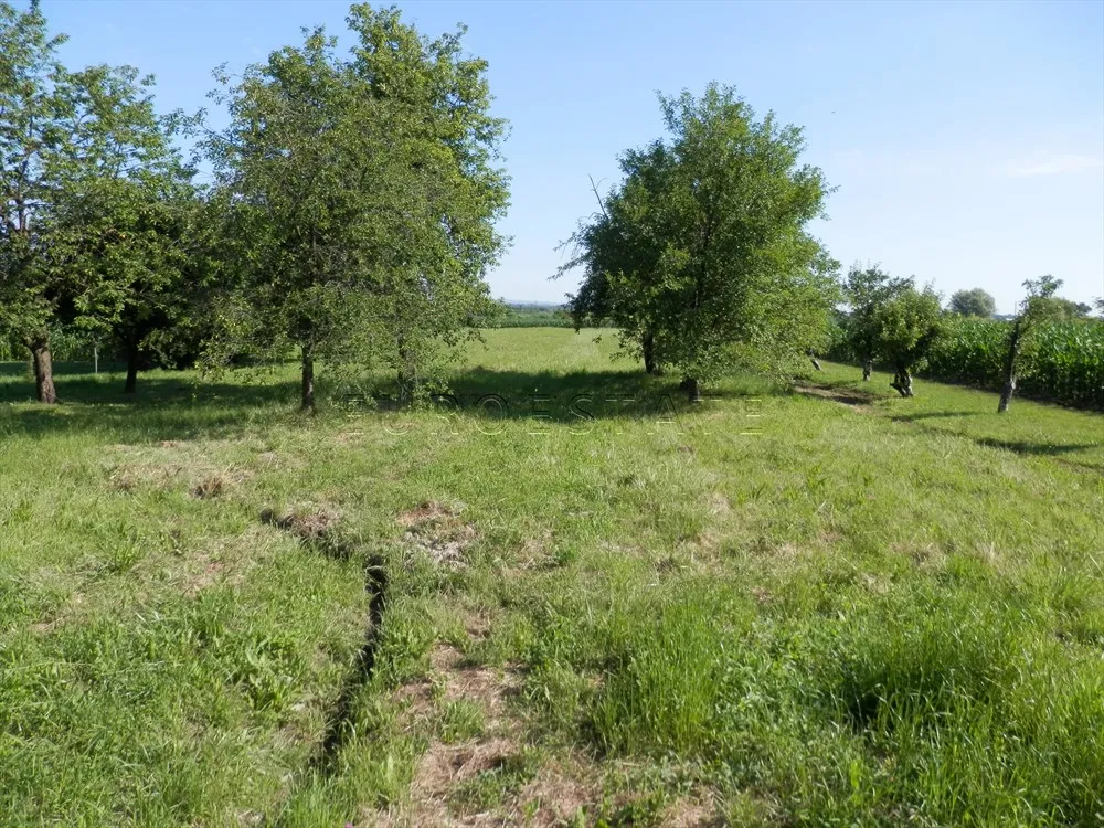 varaždin breg: prostrana katnica od 200 m2, gospodarska zgrada i okućnica od 2820 m2 - slika 9