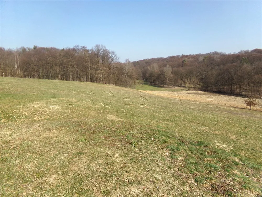 mali mihaljevec: dvije kuće na imanju površine 23630 m2, stambena ili poslovna namjena - slika 23