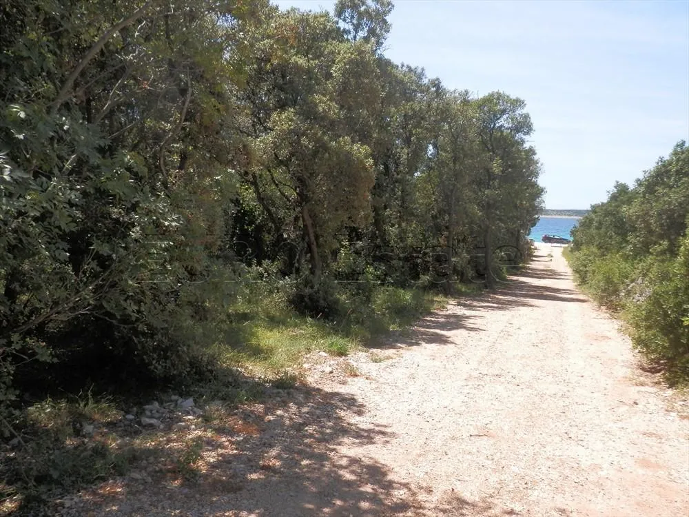 sniženo !!! mandre: zemljište za kamp, 1970 m2, 1. red do mora - slika 5