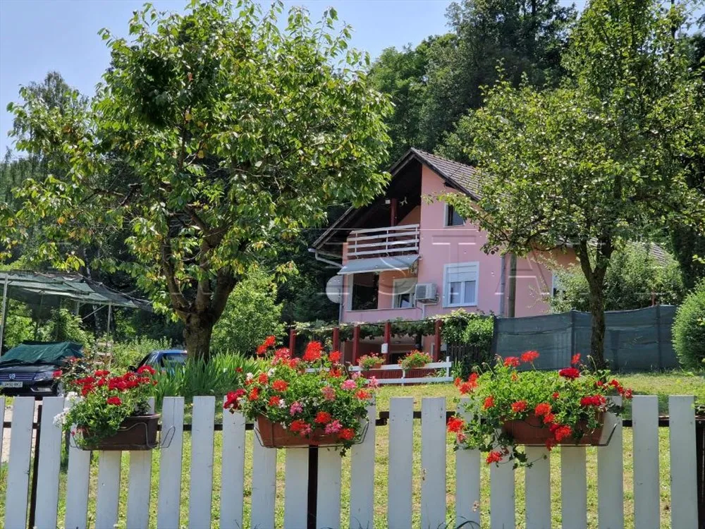 KUĆA SA DVA STANA, UKUPNE POVRŠINE 200 m2, NA MIRNOJ LOKACIJI U PRIRODI - Vulišinec, Lepoglava