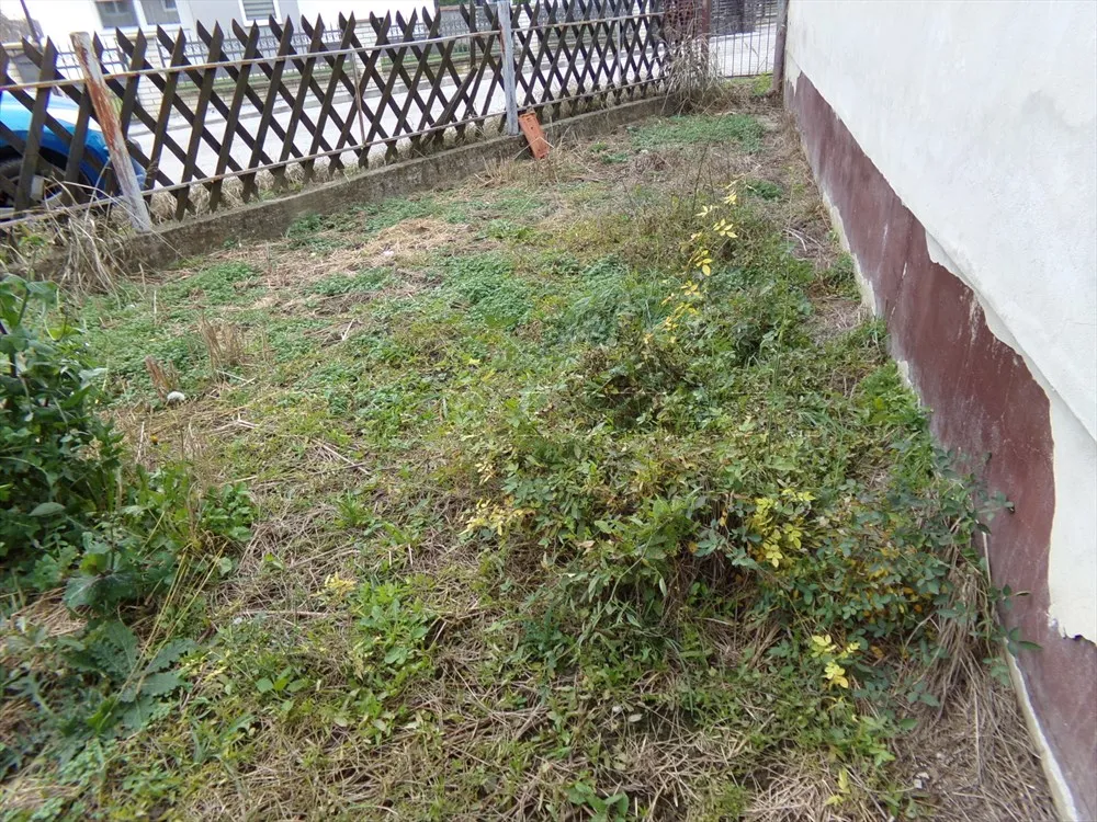 trnovec bartolovečki; kuća prizemnica od 118,00 m2, okućnica 1588 m2 - slika 9