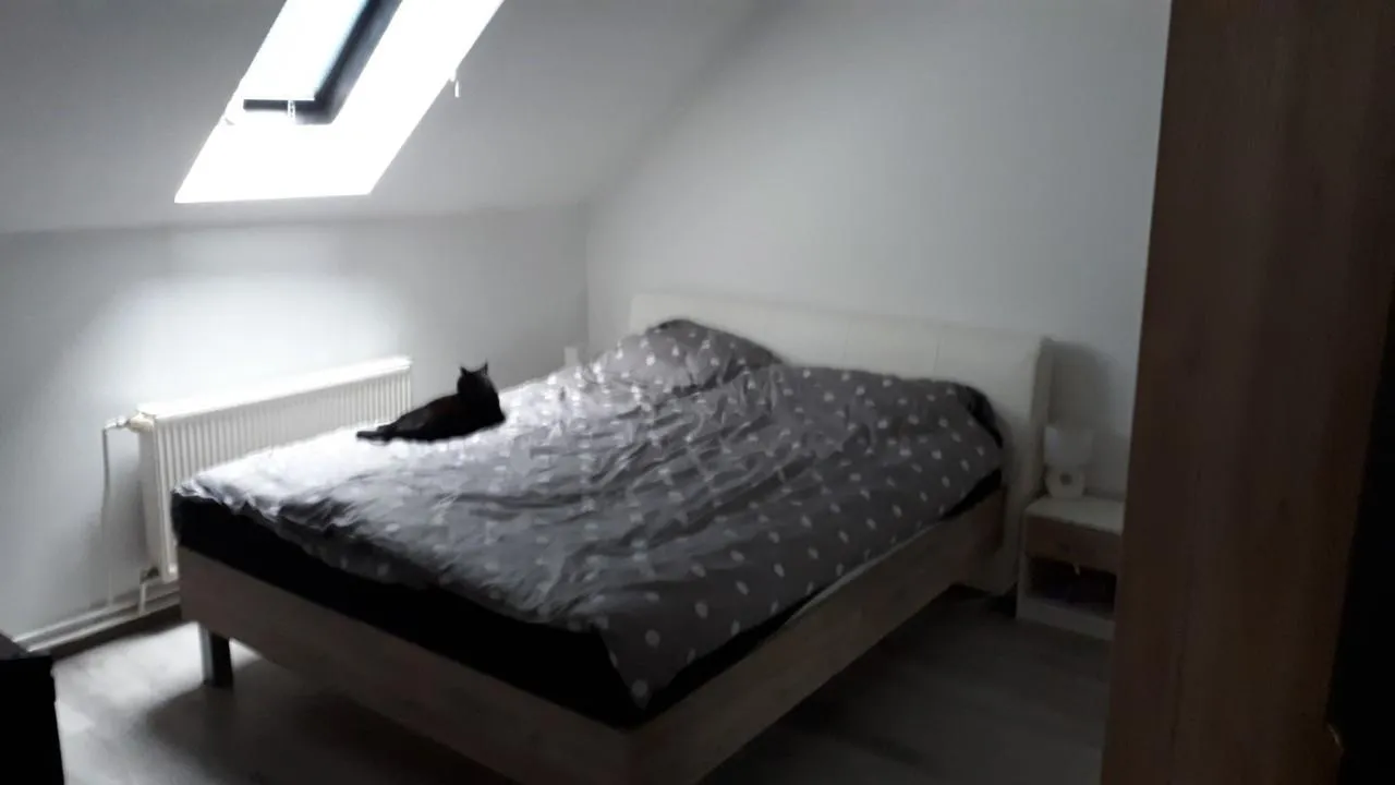 varaždin(gradska jezgra): poslovno stambena kuća površine 260 m2 - slika 8