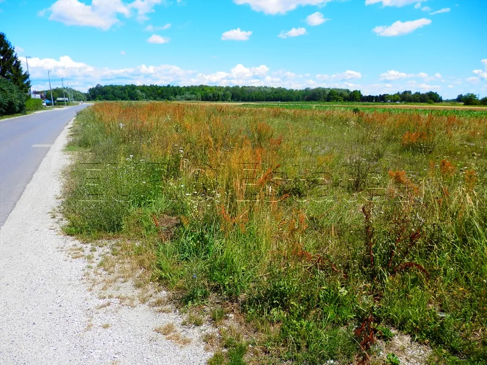 varaždin: građevinsko zemljište, komercijalna namjena, 5420 m2 - slika 2