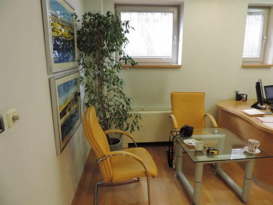 varaždin-gradska jezgra: 2-etažni, ulični poslovni prostor, 190 m2 - slika 11