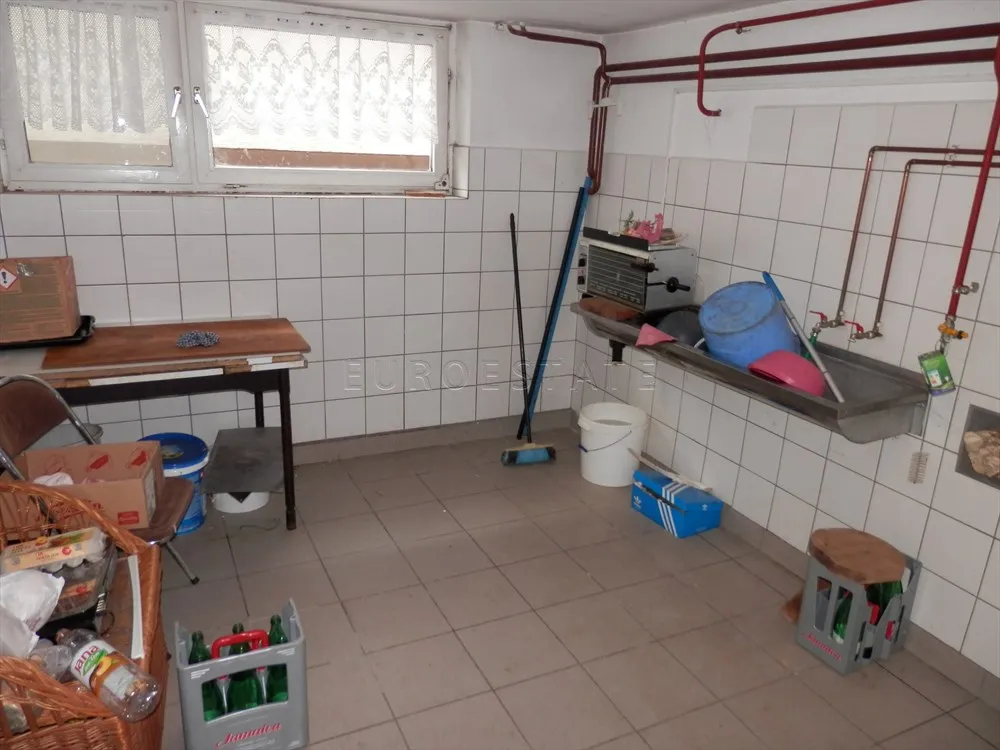 nova ves petrijanečka: kuća od 220 m2 sa gospodarskom zgradom i radionom - slika 20