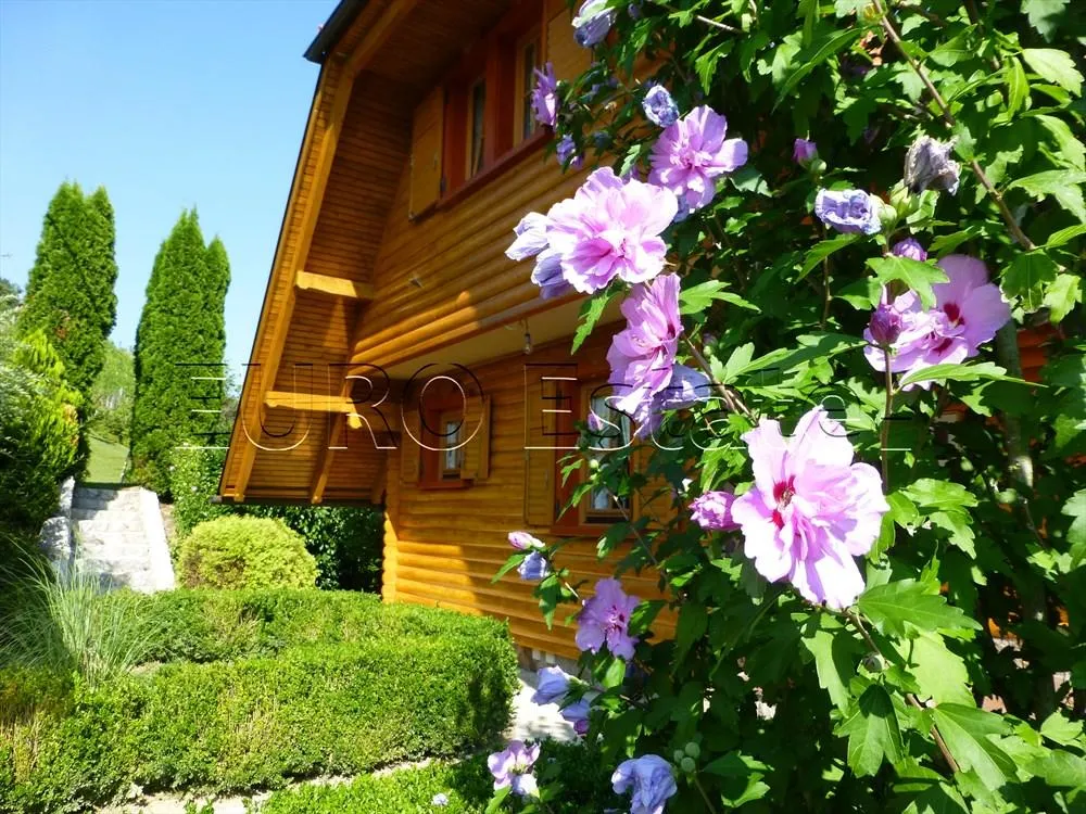 gornja voća: luksuzna kuća za odmor, 200 m2, 3200 m2 okućnice, bazen - slika 10