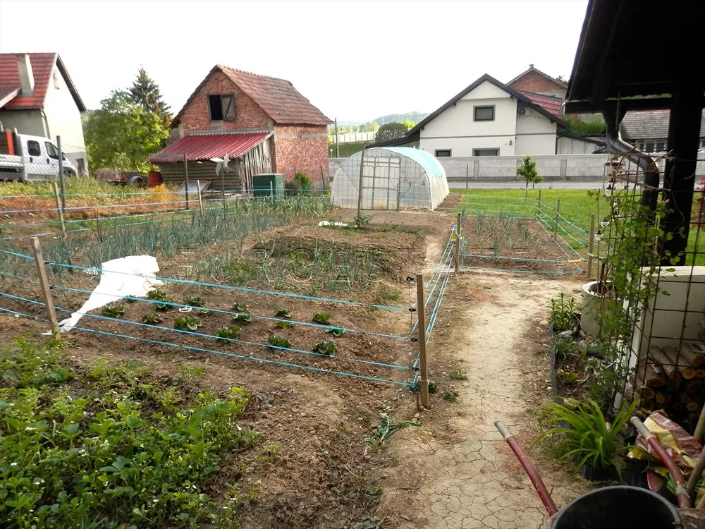 boričevec toplički: prostrana i renovirana kuća sa 324 m2 ukupne površine i 4648 m2 okućnice - slika 9