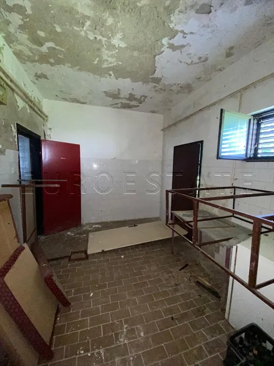 ludbreg - bolfan: visoka prizemnica za adaptaciju, velik potencijal - slika 13