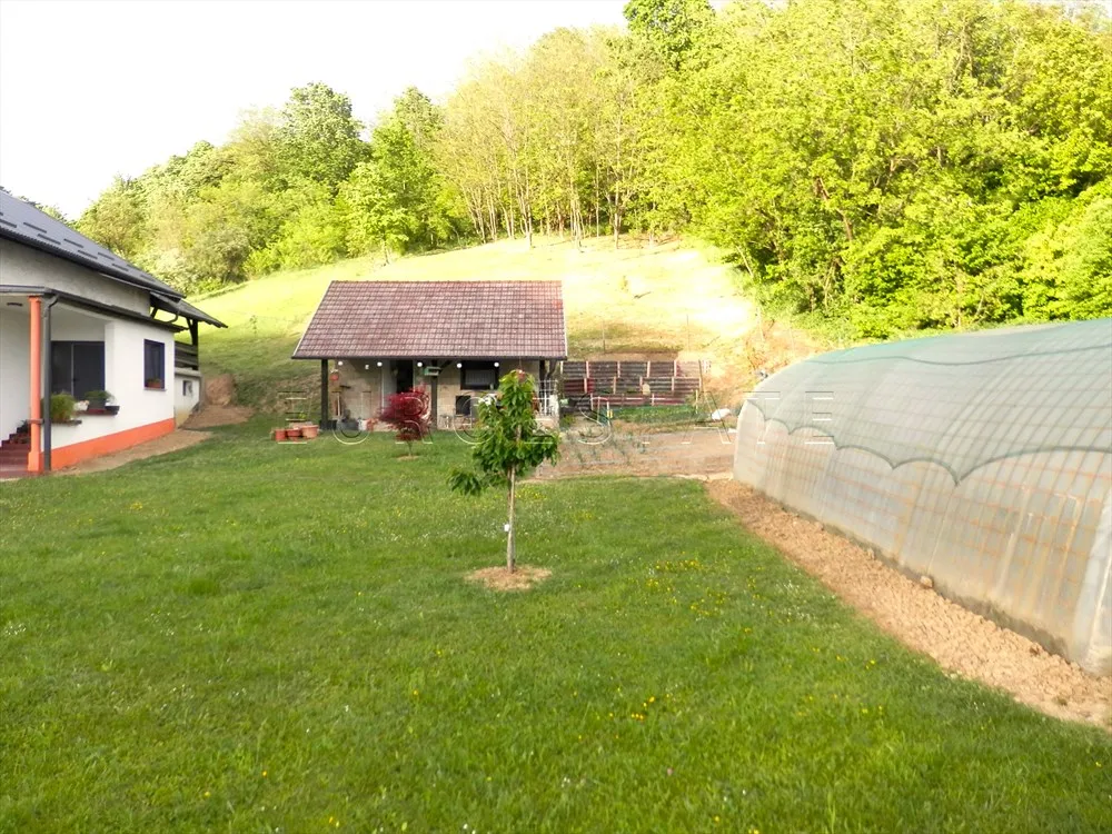 boričevec toplički: prostrana i renovirana kuća sa 324 m2 ukupne površine i 4648 m2 okućnice - slika 8