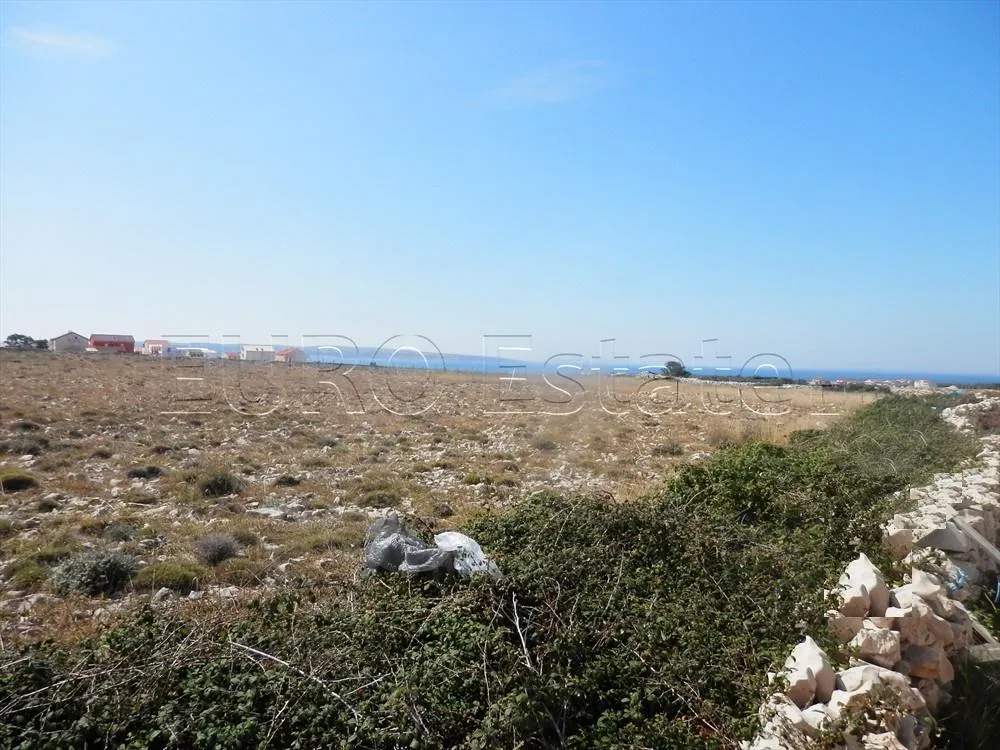 Povljana: zemljište površine 19560 m2, 700 metara od mora