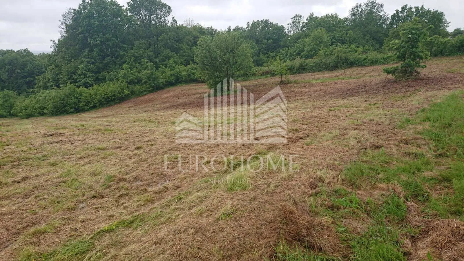 kuća: dvoranci, 184.00 m2 - ukupno 43300 m2 zemljišta - slika 12