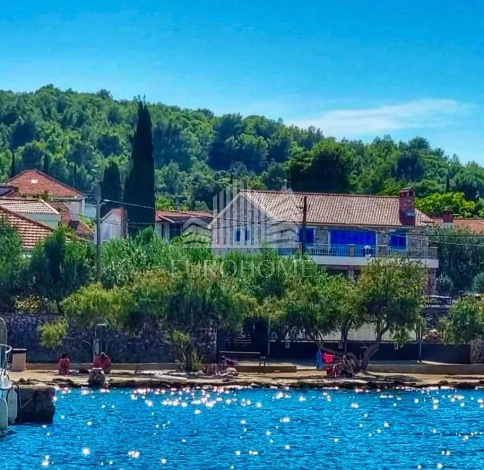 ždrelac, dalmatinska vila s bazenom, prvi red uz more - slika 4