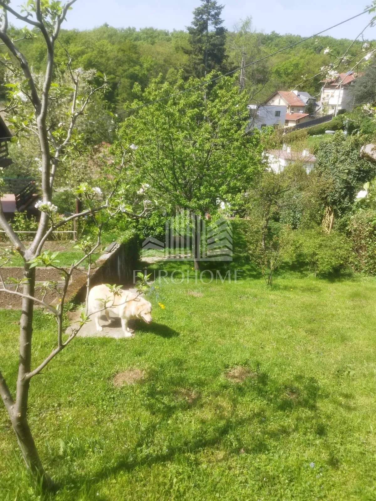 kraljevac, kuća i zemljište ukupne površine 1451 m2 - slika 5