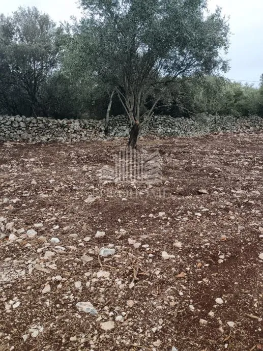 građevinsko zemljište 573m2, sukošan, debeljak - slika 4