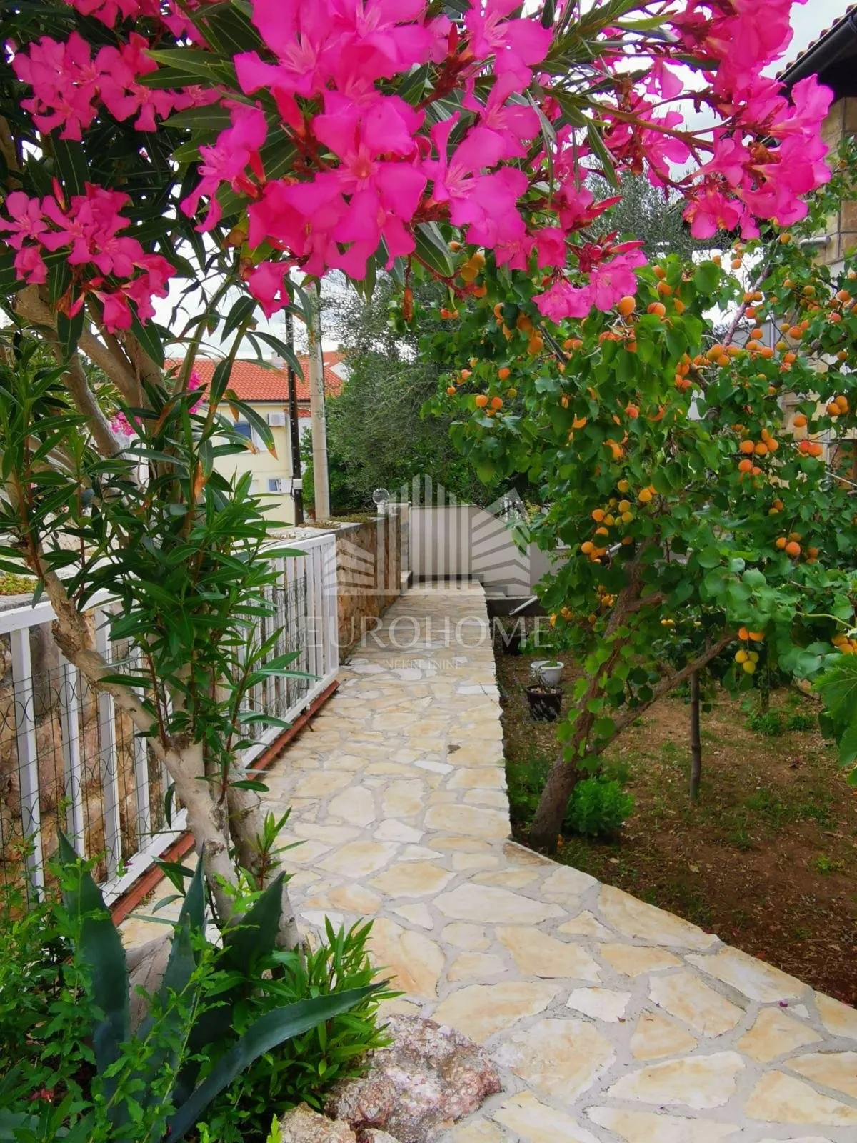 vinjerac, kuća s 4 apartmana, 70m od mora - slika 14