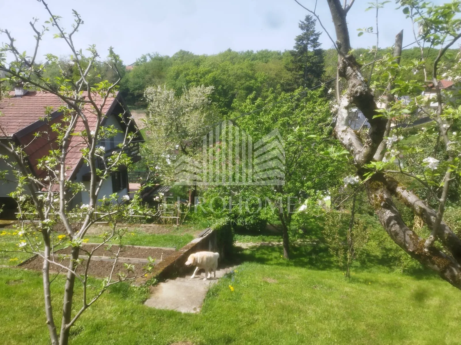 kraljevac, kuća i zemljište ukupne površine 1451 m2 - slika 9
