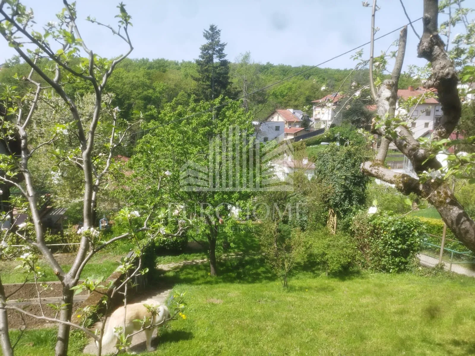 kraljevac, kuća i zemljište ukupne površine 1451 m2 - slika 4