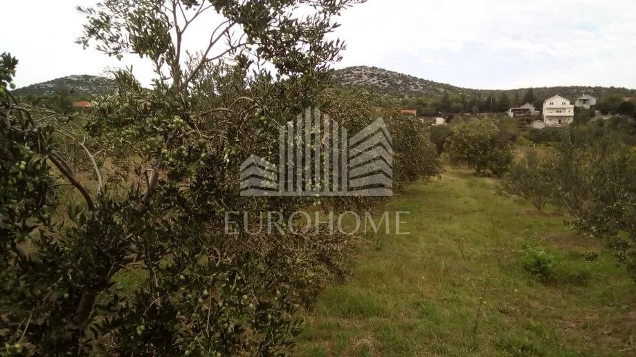 seoska kuća sa maslinicima i vinogradima(oko 15000m2) - slika 11