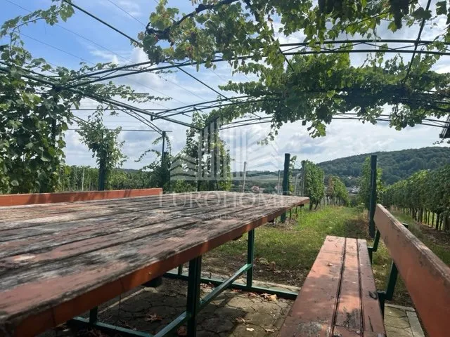 beretinec- ledinec- oaza mira nadomak planinarskog doma - slika 12