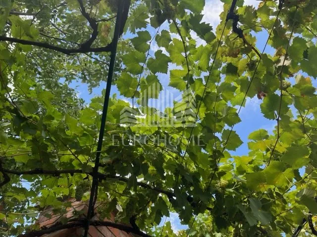 beretinec- ledinec- oaza mira nadomak planinarskog doma - slika 10
