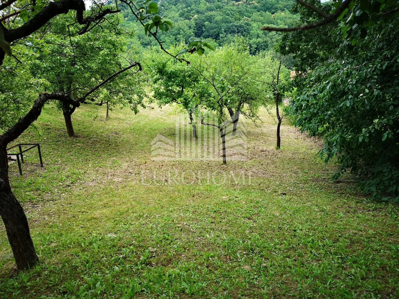 zemljište fraterščica 2620 m2 - slika 9