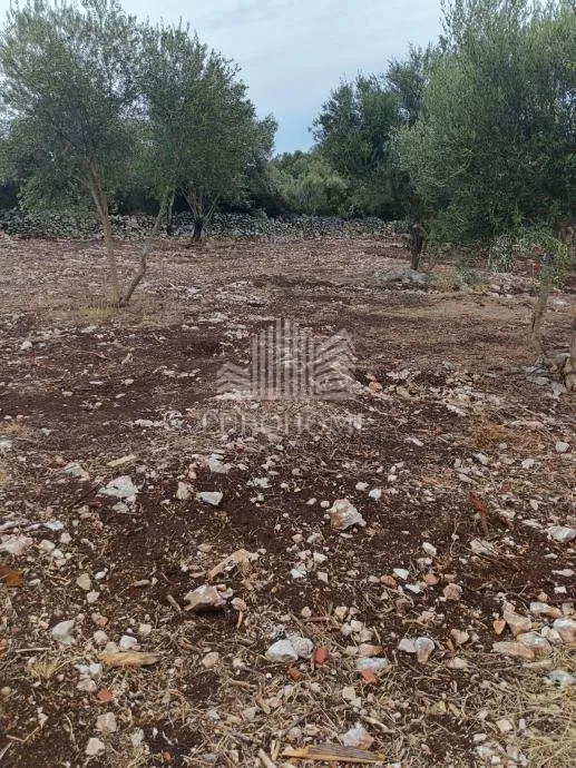 građevinsko zemljište 573m2, sukošan, debeljak - slika 9