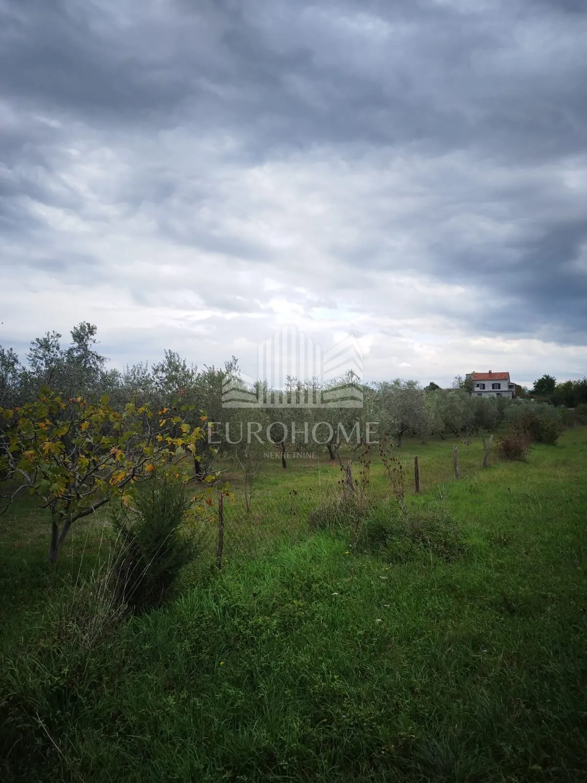 Građevinsko zemljište Murvica Gornja, 550m2 PRILIKA - Murvica, Poličnik