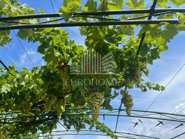 beretinec- ledinec- oaza mira nadomak planinarskog doma - slika 15