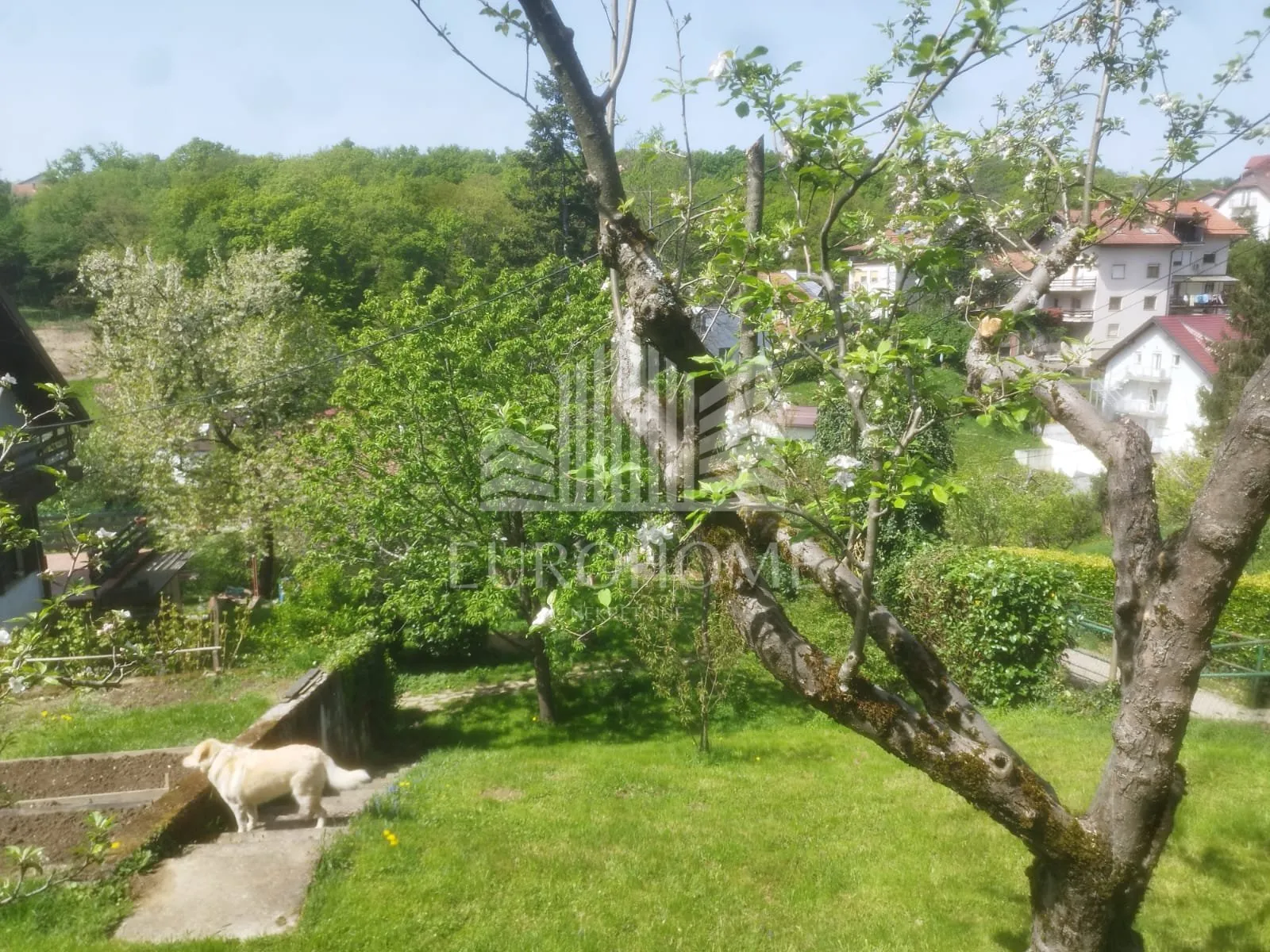 kraljevac, kuća i zemljište ukupne površine 1451 m2 - slika 6