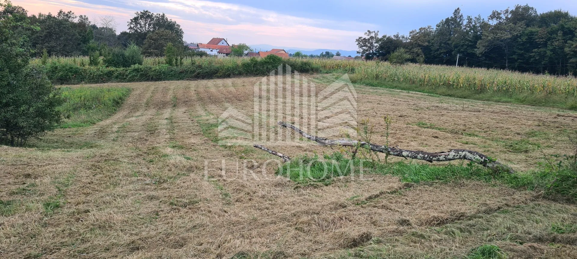 kuća: dvoranci, 184.00 m2 - ukupno 43300 m2 zemljišta - slika 9