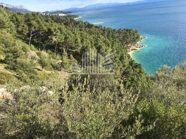 makarska, zemljište za hotel, t1 i t2 zona, 10 000m2 - slika 2