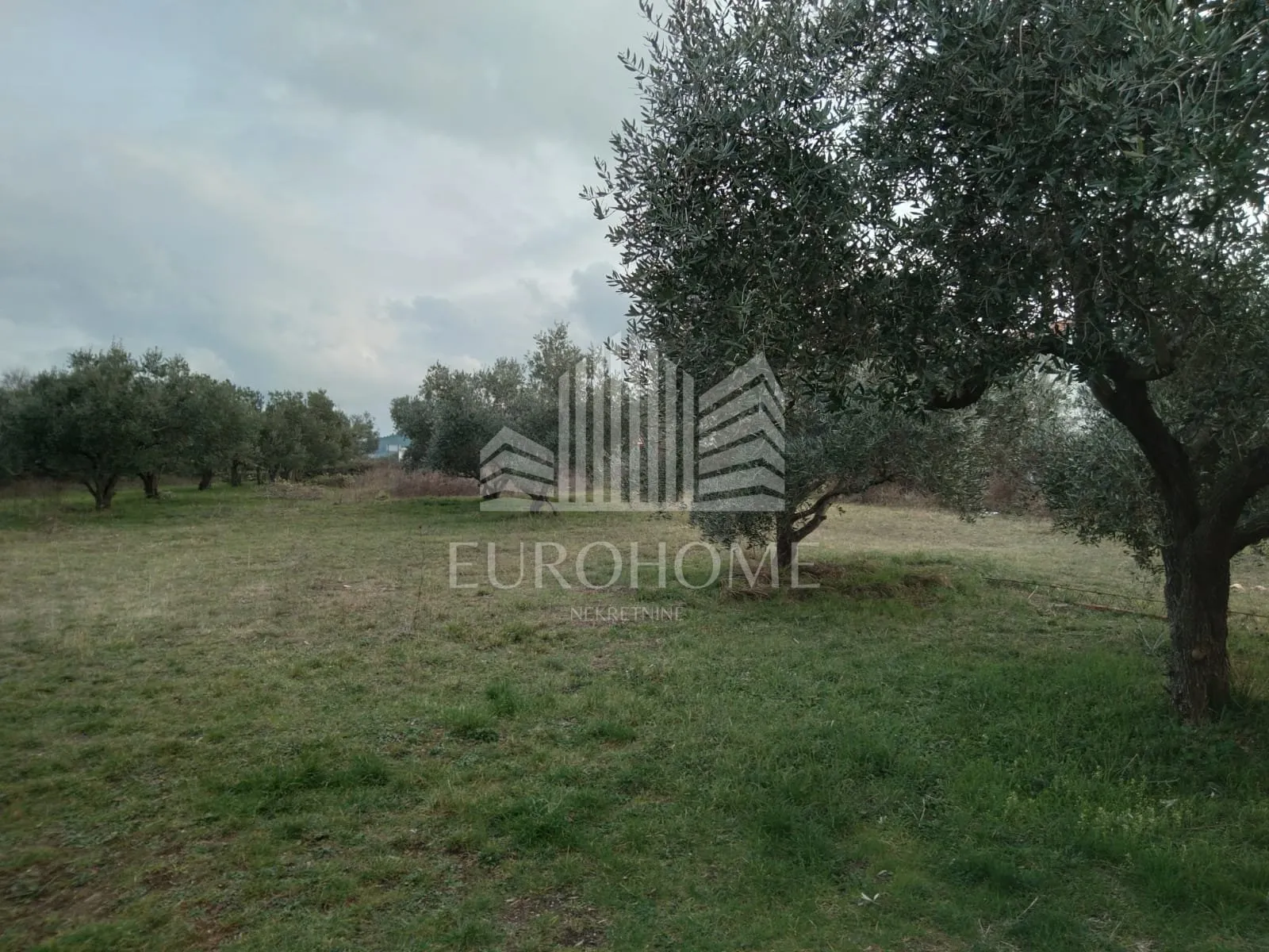 prilika za investitore!pašman,građ.zemljište,1660m2 - slika 4