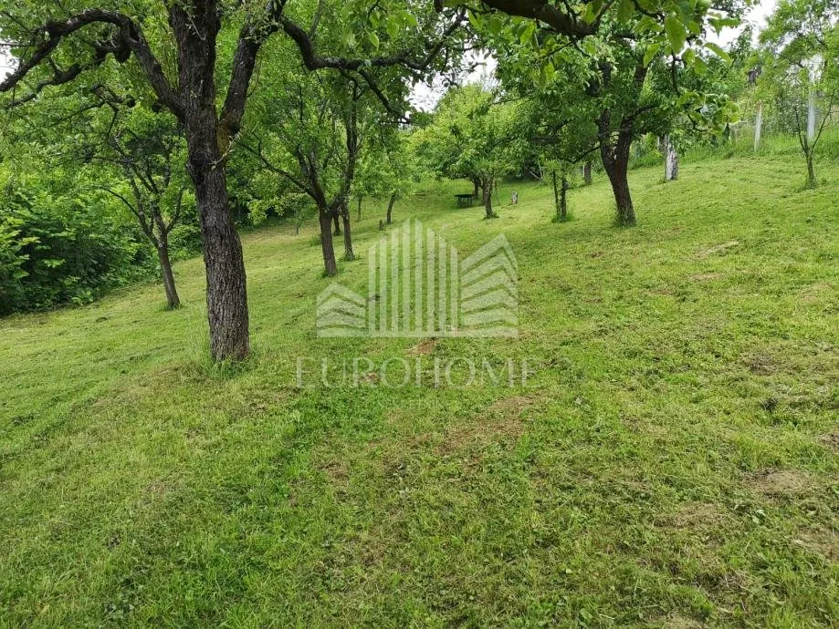 zemljište fraterščica 2620 m2 - slika 3
