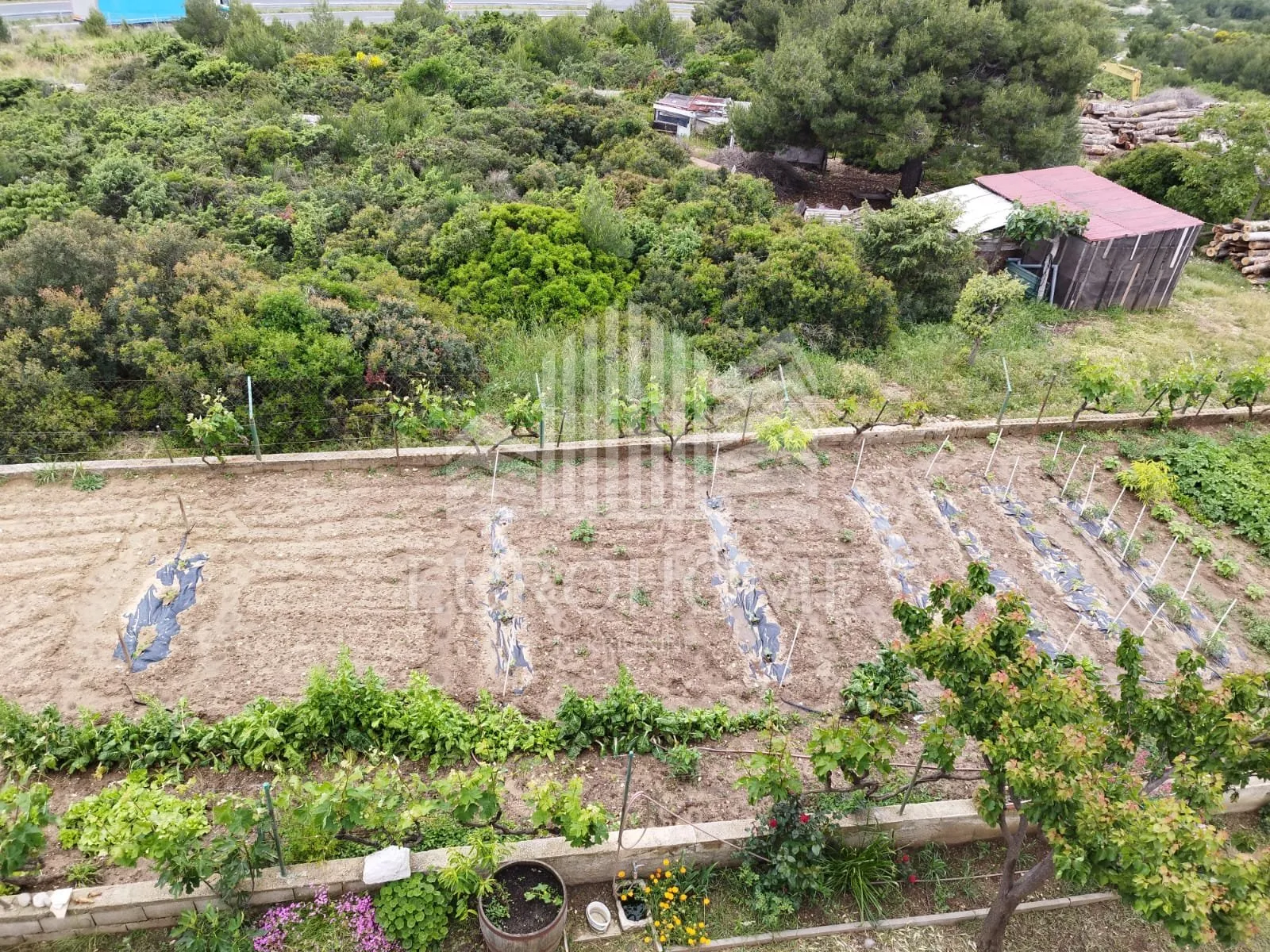 zadar-ploča , kuća(462m2) - slika 7