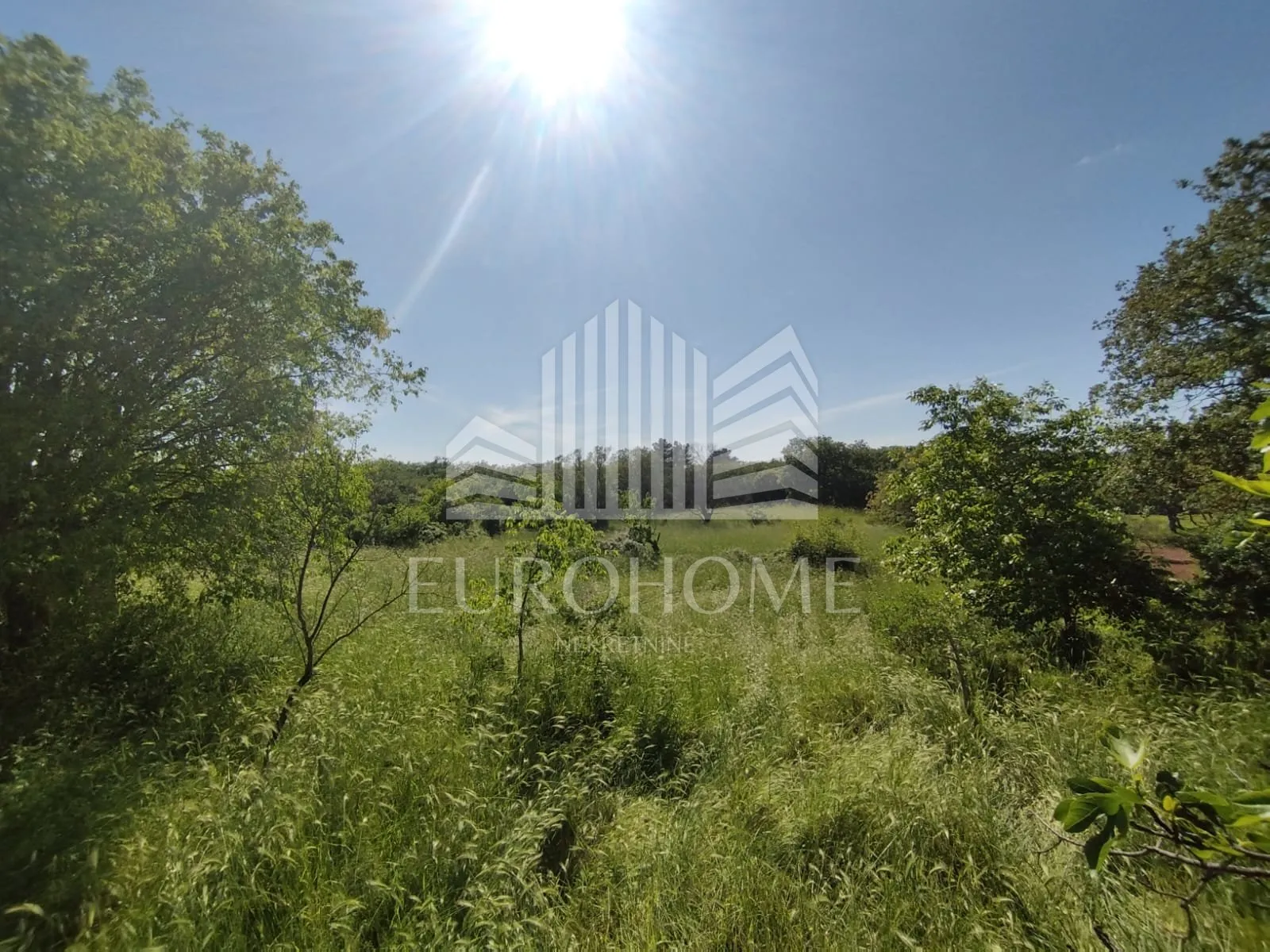 sukošan-debeljak seosko imanje na 1260m2 građevinskog terena - slika 19