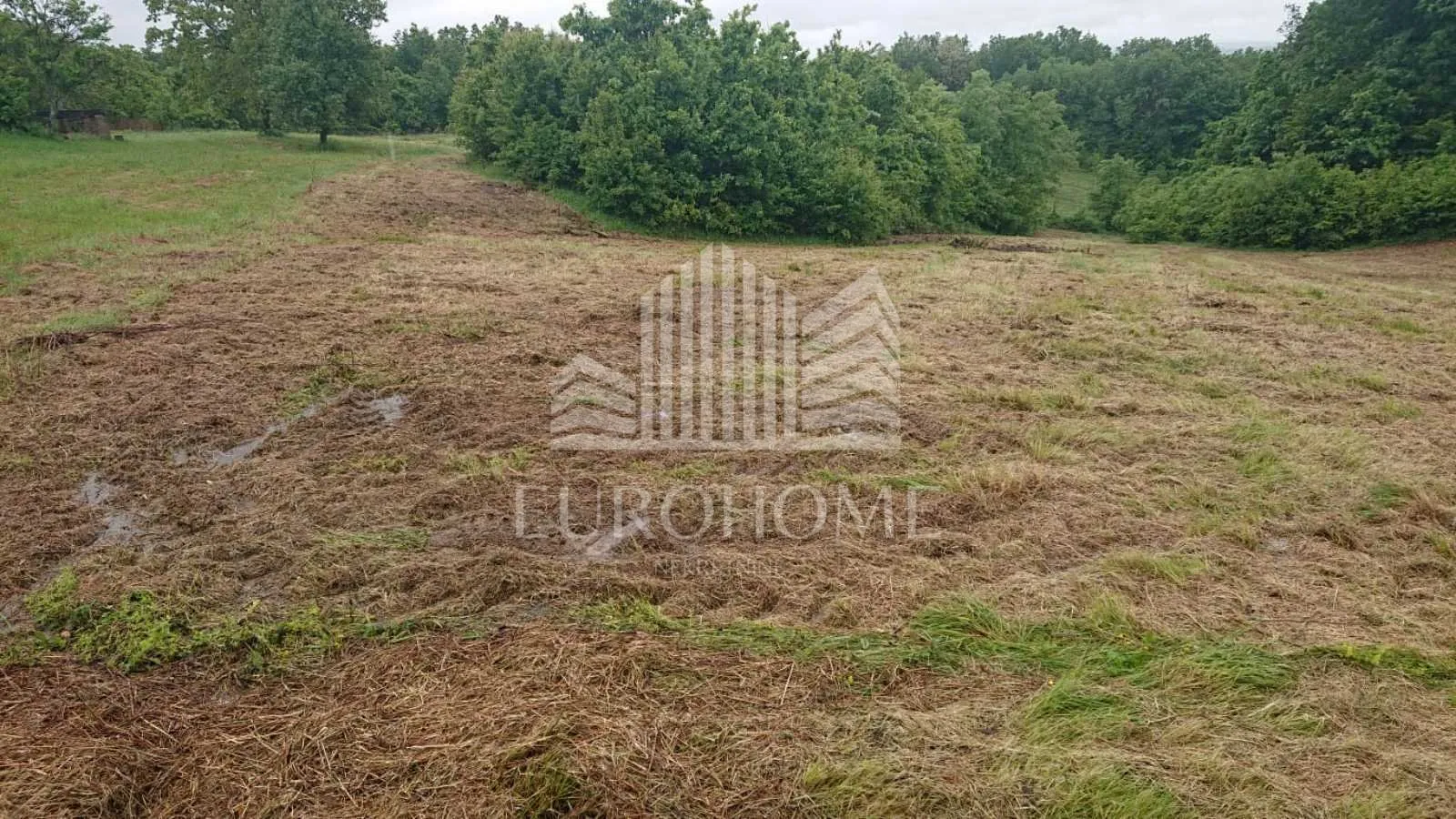 kuća: dvoranci, 184.00 m2 - ukupno 43300 m2 zemljišta - slika 11