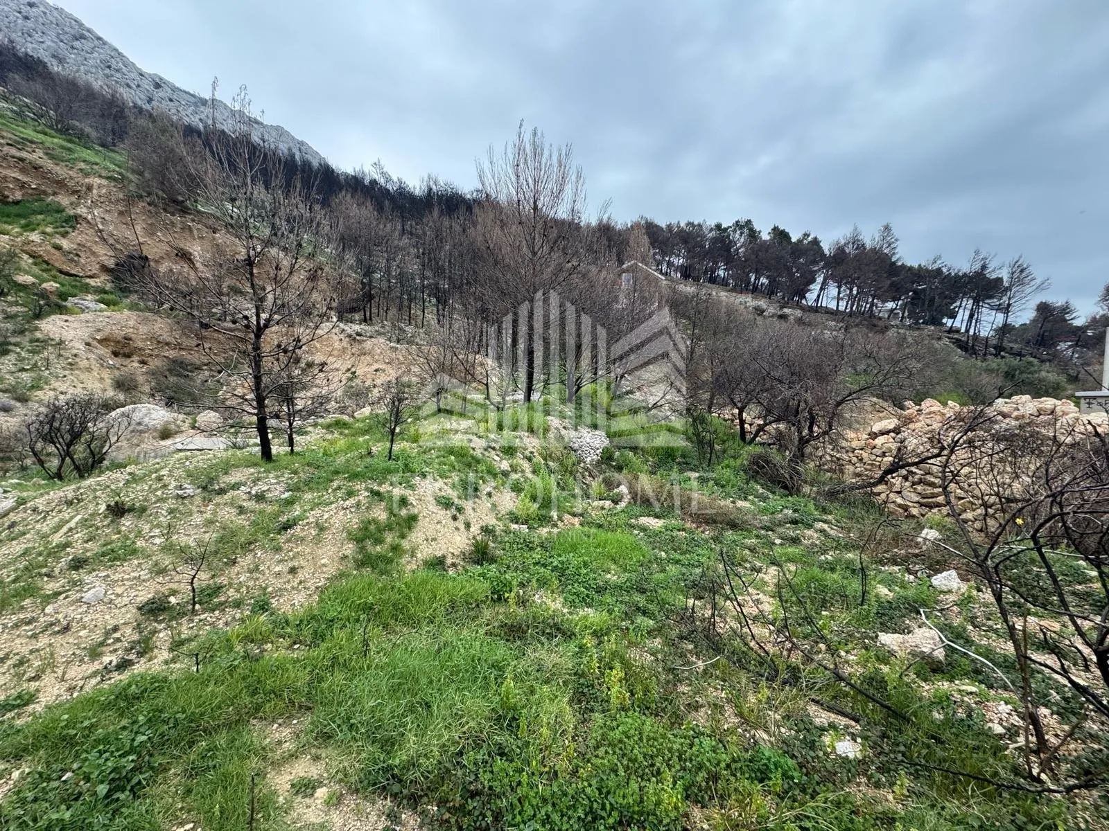 split, mimice, građevinsko zemljište za hotel s panoramskim pogledom na more, 1.563 m² - slika 4