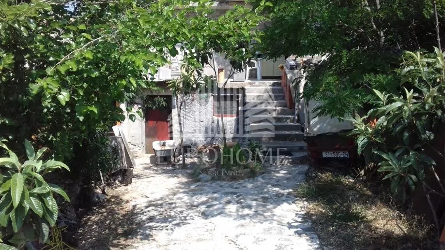 seoska kuća sa maslinicima i vinogradima(oko 15000m2) - slika 2